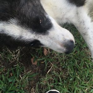 Meet your Posher, Tyrek